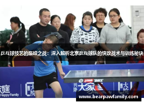 乒乓球技艺的巅峰之战：深入解析北京乒乓球队的快攻战术与训练秘诀