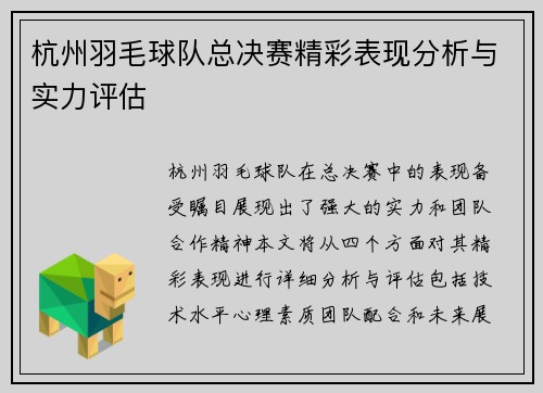 杭州羽毛球队总决赛精彩表现分析与实力评估