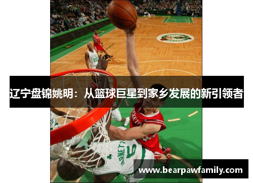 辽宁盘锦姚明：从篮球巨星到家乡发展的新引领者